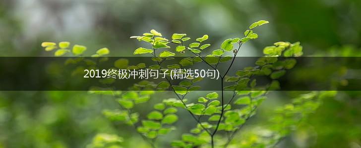 2019终极冲刺句子(精选50句),第1张