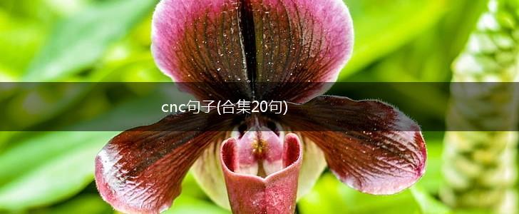 cnc句子(合集20句),第1张