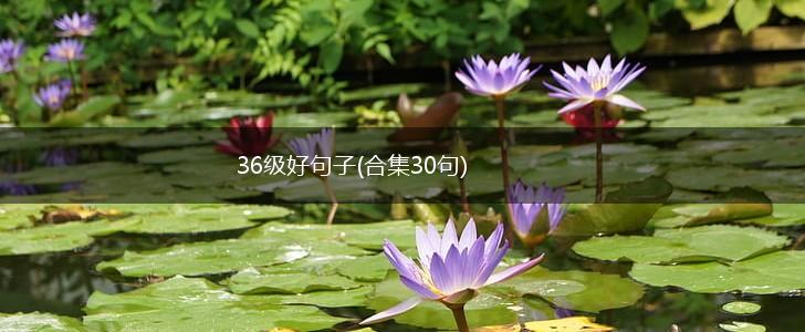 36级好句子(合集30句),第1张