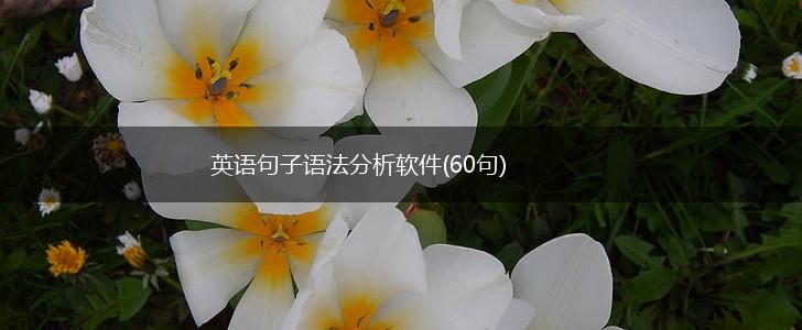 英语句子语法分析软件(60句),第1张
