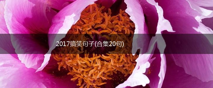 2017搞笑句子(合集20句),第1张