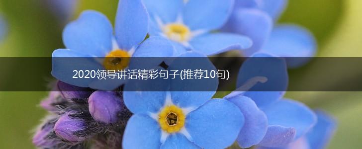 2020领导讲话精彩句子(推荐10句),第1张