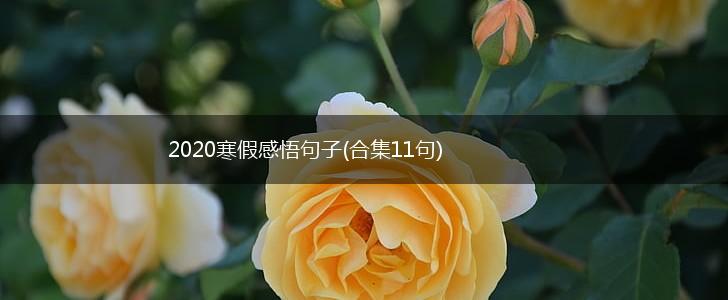 2020寒假感悟句子(合集11句),第1张