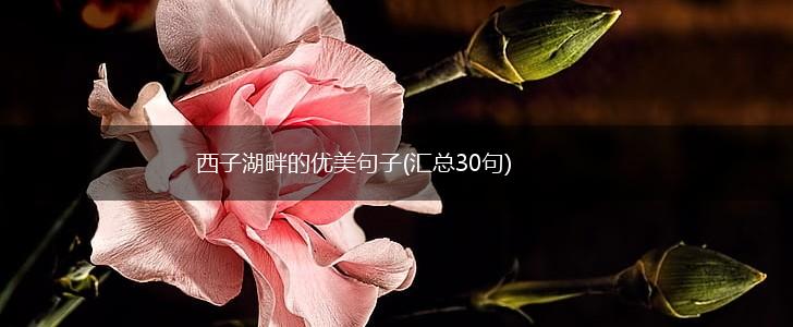 西子湖畔的优美句子(汇总30句),第1张