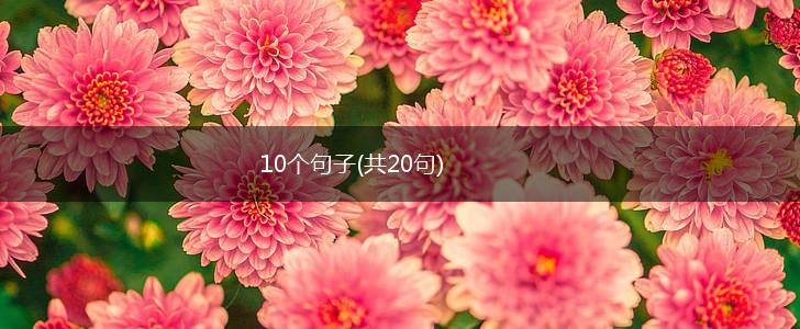 10个句子(共20句),第1张