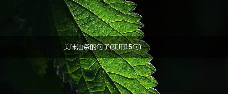 美味油条的句子(实用15句),第1张