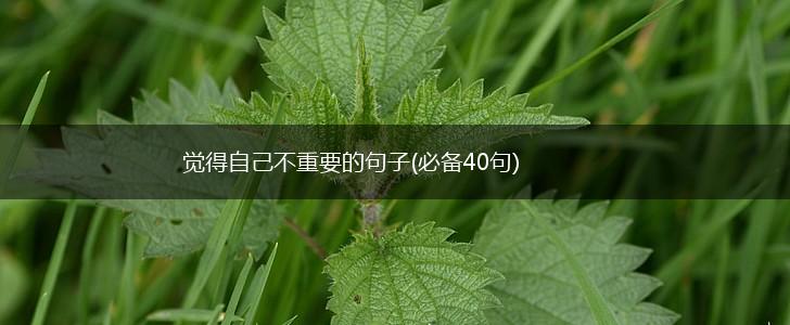 觉得自己不重要的句子(必备40句),第1张