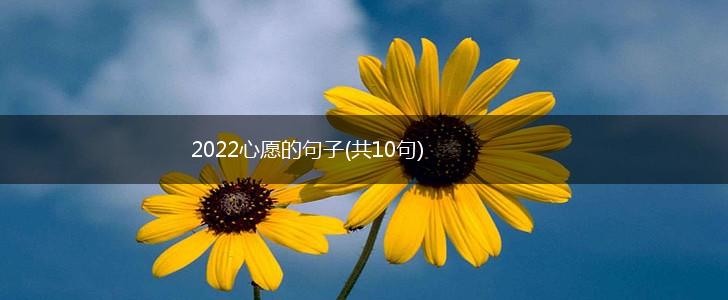 2022心愿的句子(共10句),第1张