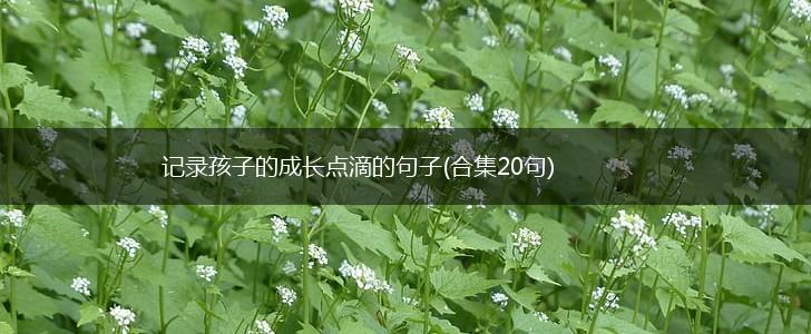 记录孩子的成长点滴的句子(合集20句),第1张