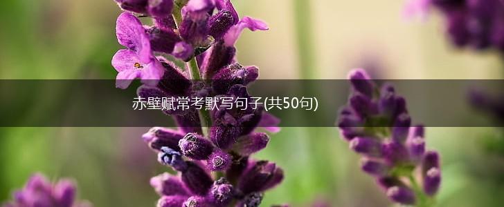 赤壁赋常考默写句子(共50句),第1张