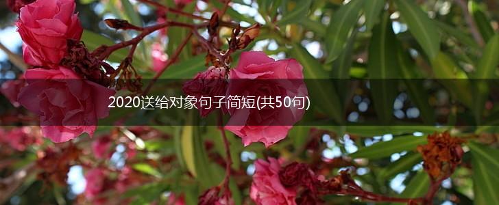 2020送给对象句子简短(共50句),第1张