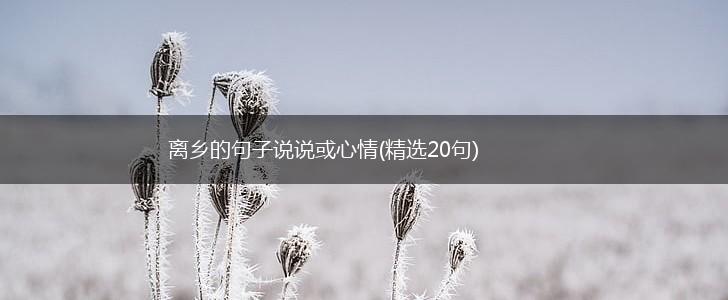 离乡的句子说说或心情(精选20句),第1张