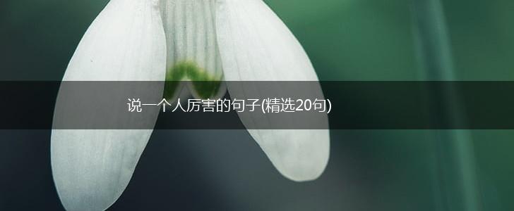 说一个人厉害的句子(精选20句),第1张