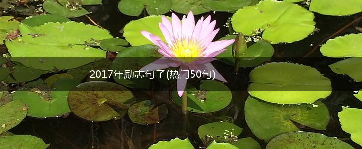 2017年励志句子(热门50句),第1张