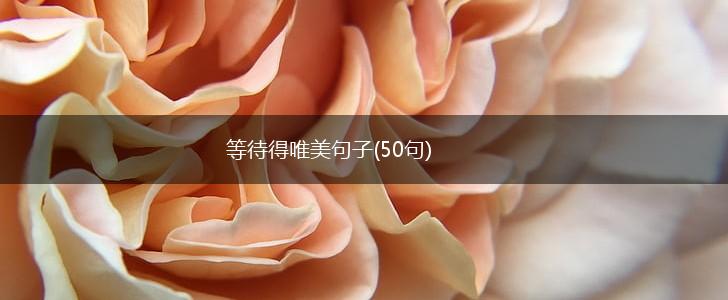 等待得唯美句子(50句),第1张