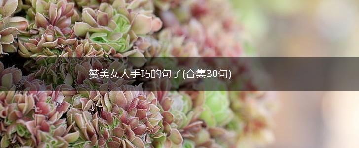 赞美女人手巧的句子(合集30句),第1张
