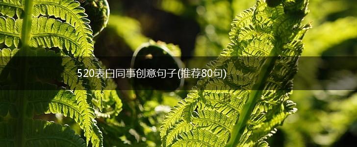 520表白同事创意句子(推荐80句),第1张