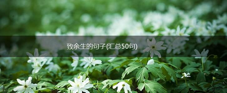 致余生的句子(汇总50句),第1张