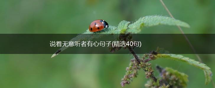 说着无意听者有心句子(精选40句),第1张