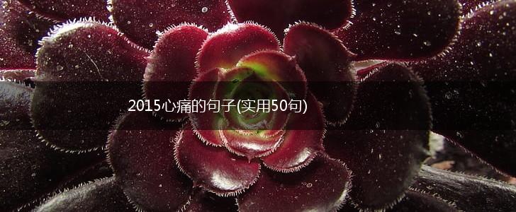 2015心痛的句子(实用50句),第1张