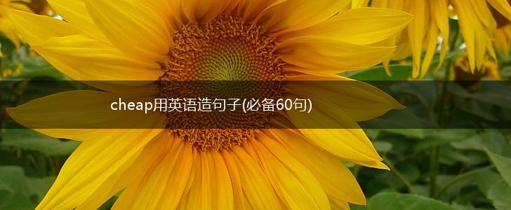 cheap用英语造句子(必备60句),第1张
