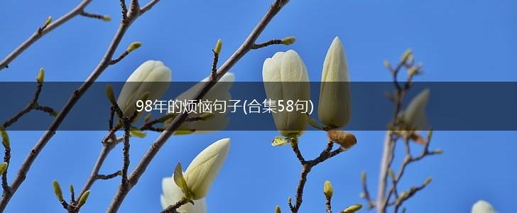 98年的烦恼句子(合集58句),第1张