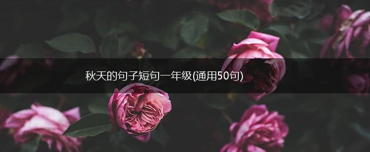 秋天的句子短句一年级(通用50句),第1张