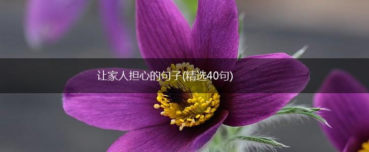 让家人担心的句子(精选40句),第1张