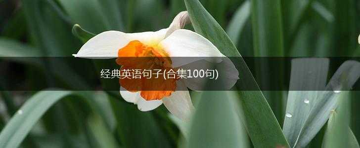 经典英语句子(合集100句),第1张