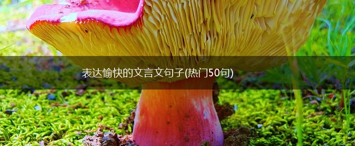 表达愉快的文言文句子(热门50句),第1张