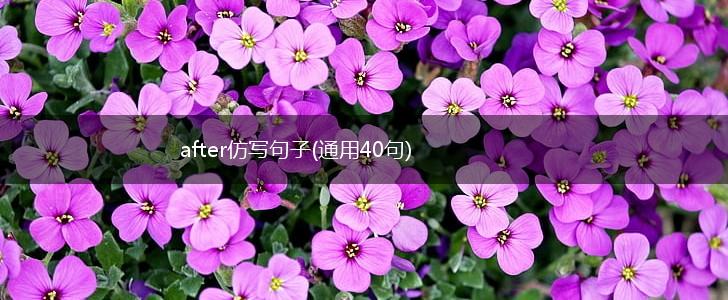 after仿写句子(通用40句),第1张