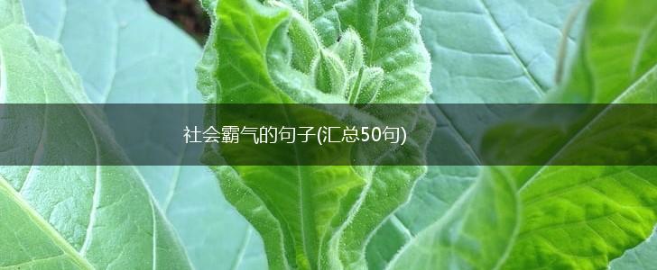 社会霸气的句子(汇总50句),第1张