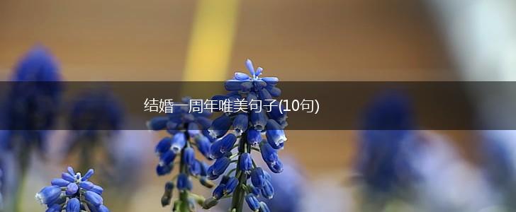 结婚一周年唯美句子(10句),第1张