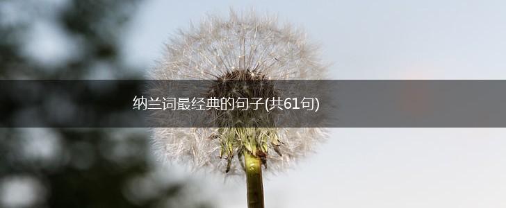 纳兰词最经典的句子(共61句),第1张