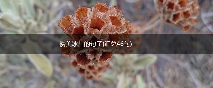 赞美冰川的句子(汇总46句),第1张