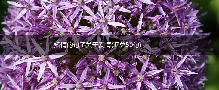 矫情的句子关于爱情(汇总50句),第1张