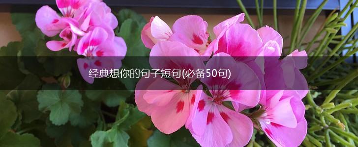 经典想你的句子短句(必备50句),第1张