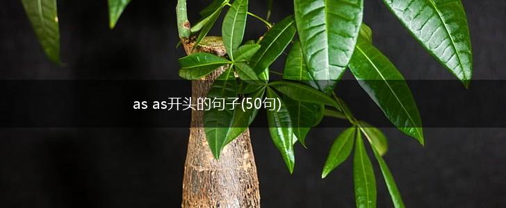 as as开头的句子(50句),第1张