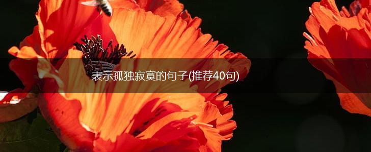 表示孤独寂寞的句子(推荐40句),第1张