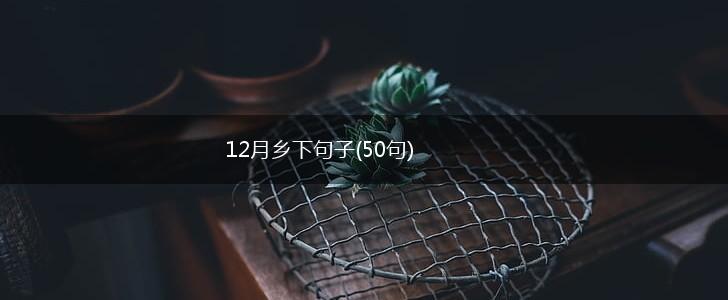 12月乡下句子(50句),第1张