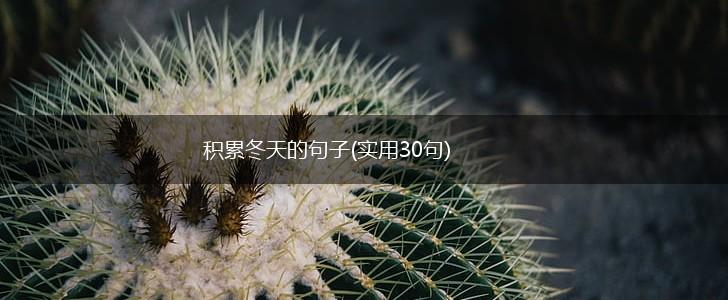 积累冬天的句子(实用30句),第1张