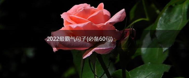 2022最霸气句子(必备60句),第1张