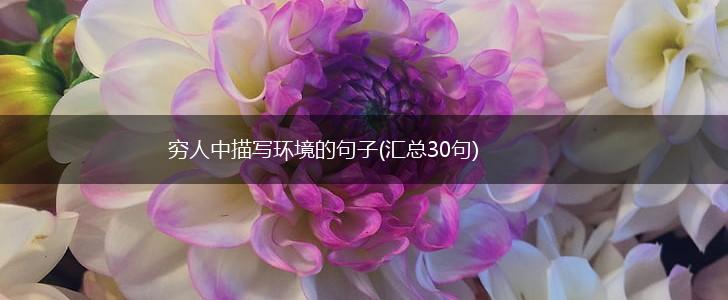 穷人中描写环境的句子(汇总30句),第1张