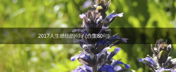 2017人生感悟的句子(合集80句),第1张
