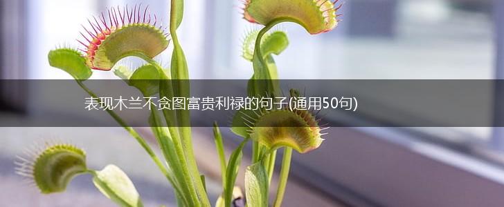 表现木兰不贪图富贵利禄的句子(通用50句),第1张