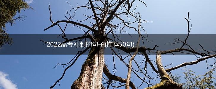 2022高考冲刺的句子(推荐50句),第1张