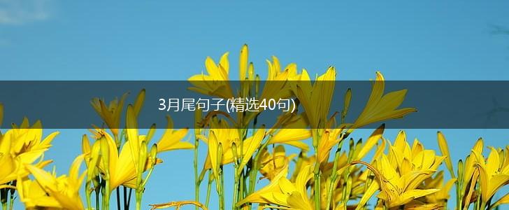 3月尾句子(精选40句),第1张