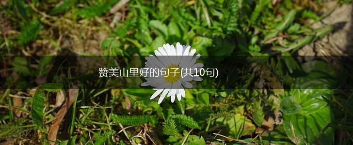 赞美山里好的句子(共10句),第1张