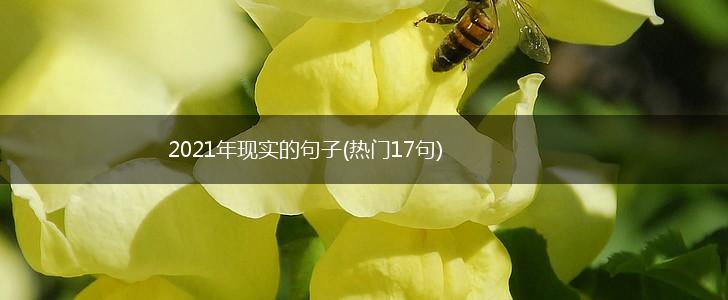 2021年现实的句子(热门17句),第1张