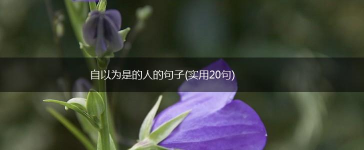 自以为是的人的句子(实用20句),第1张